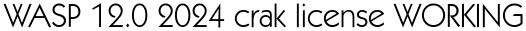 WASP 12.0 2024 crak license WORKING
